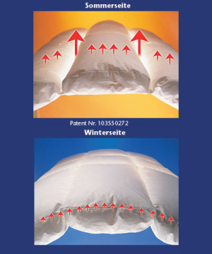 Climasphere der ersten und einzigen Vierjahreszeitendecke in einer Decke
