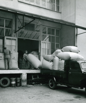 Wiederaufbau der Bettfedernfabrik in Lörrach