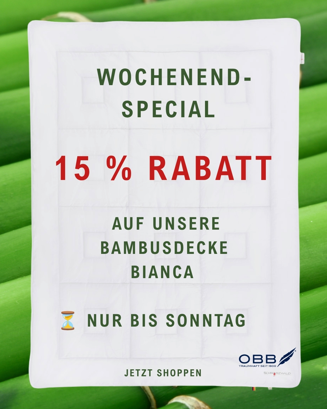 _PopUp_Bambus