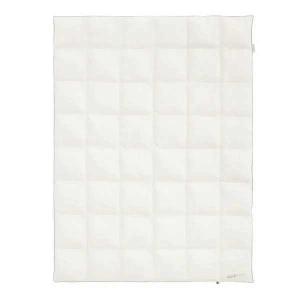 Black Forest AKTIV Down Duvet